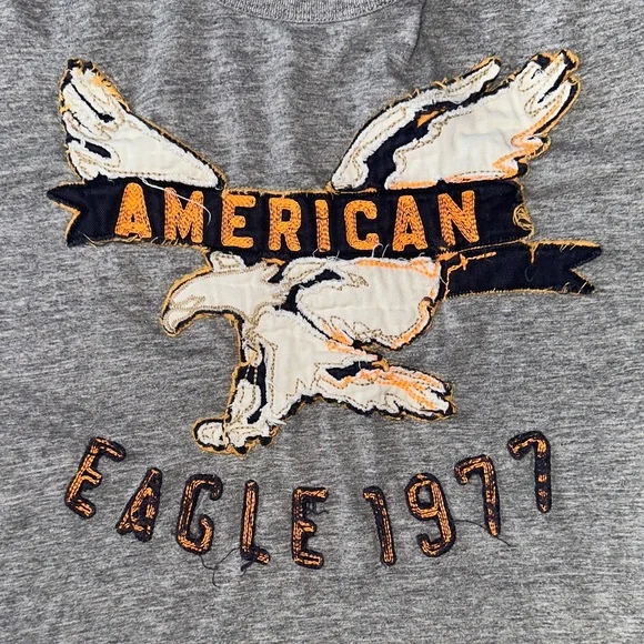 American Eagle Outfitters Men’s Heather Gray Graphic Appliqué Tee - Picture 3 of 4